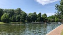 Zichtau